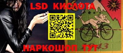 Альфа ПВП Гатчина