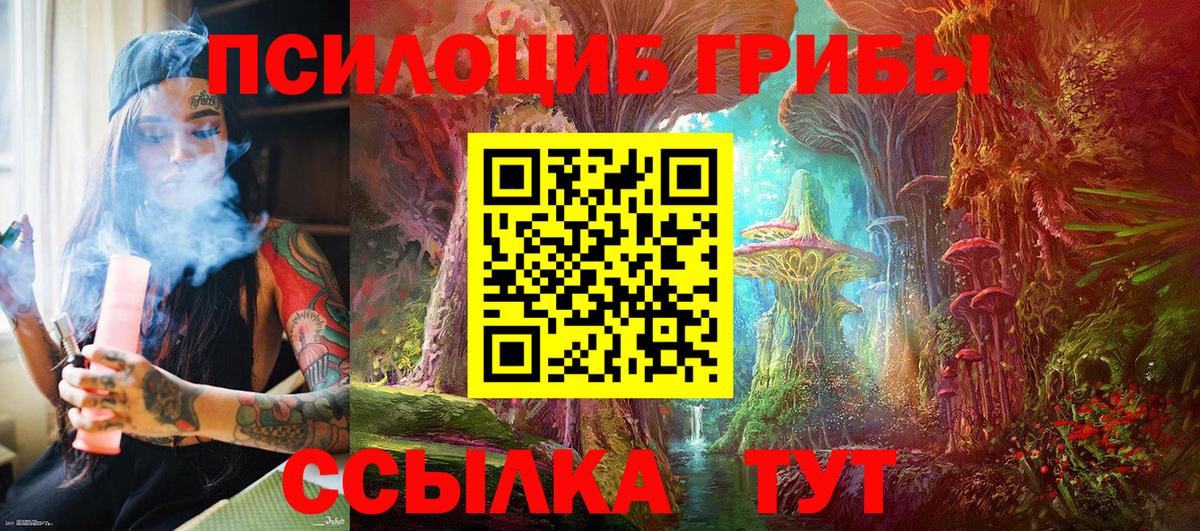 купить   Галлюциногенные грибы мицелий  Псилоцибиновые грибы Psilocybe  Вход с VPN  Озёрск 